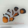 Extreme Gladiator/DaVinci Clownfish-Captive Bred