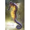 Kuda Seahorse - Captive Bred